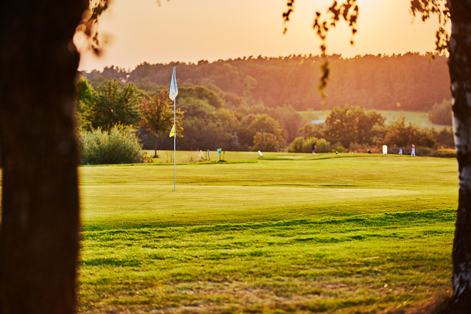 Blick auf ein Golfgrün im warmen Abendlicht.